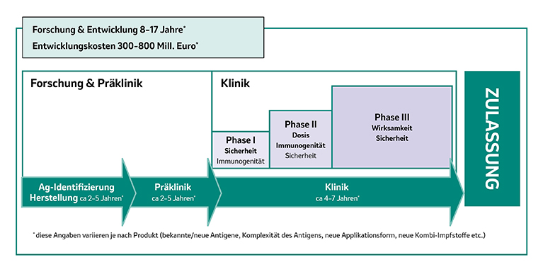 Grafik über die Phasen der Impfstoff-Entwicklung