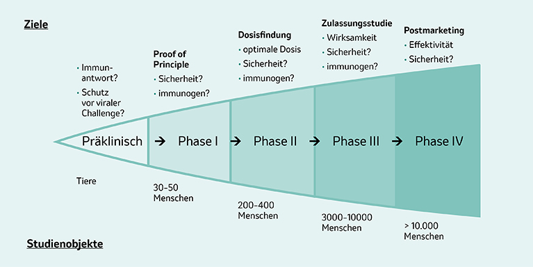 Phasen und Zahl der benötigten Studienteilnehmer:innen bei der Impfstoffentwicklung. 